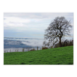 Early Morning Fog Photo Print