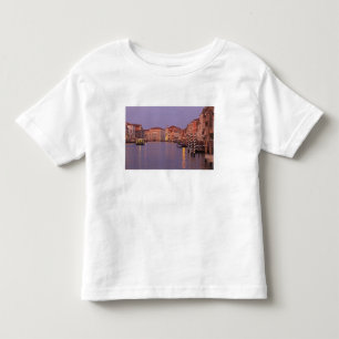 early morning Grand Canal Tour, Venice, Italy Toddler T-Shirt