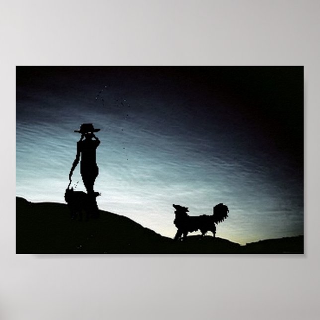 Early morning herd...Border Collie Poster (Front)
