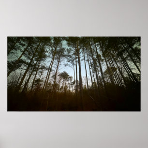 Early Morning in January 2025 Poster