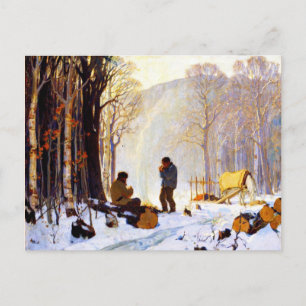 Early Morning in the Woods Postcard