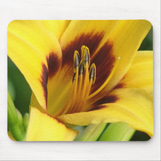 Early Morning Mouse Pad