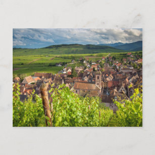 Early morning overlooking village of Riquewihr Postcard