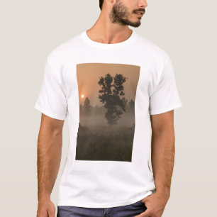 Early morning, rising sun and ground fog T-Shirt
