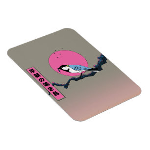 Early morning songbird magnet