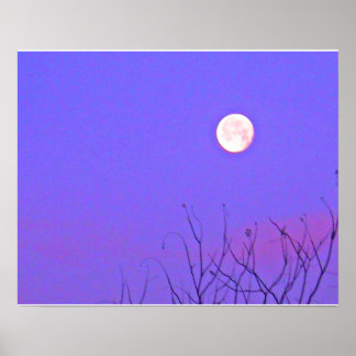 Early Morning Winter Sunrise Poster