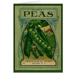 Early Peas Vintage Seed Packet