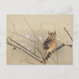 Early Plum Blossoms by Nishimura Goun, Vintage Owl Postcard