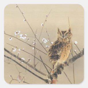 Early Plum Blossoms by Nishimura Goun, Vintage Owl Square Sticker