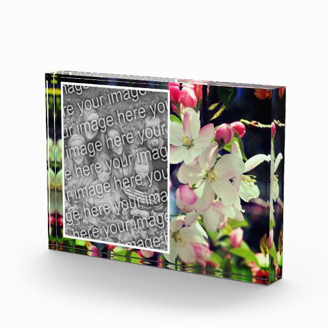 Early Spring Blossoms Create Your Own  Photo Block (Right)