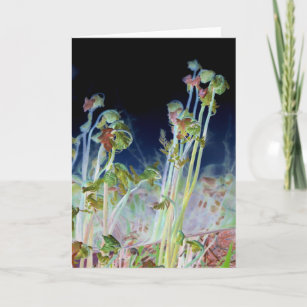 "Early Spring" Digitally Altered Fiddlehead Ferns Card