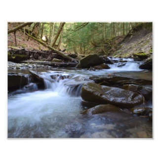 Early Spring Evening At The Stream. Photo Print