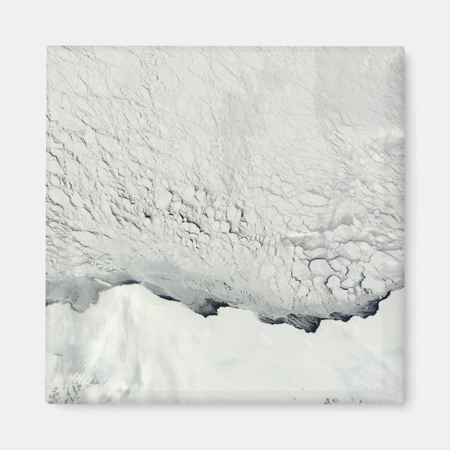 Early spring in the Antarctic Magnet (Front)