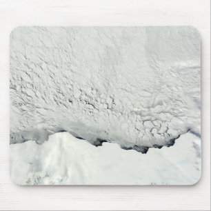 Early spring in the Antarctic Mouse Mat