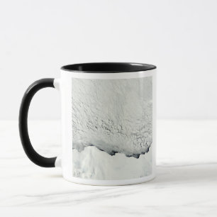 Early spring in the Antarctic Mug