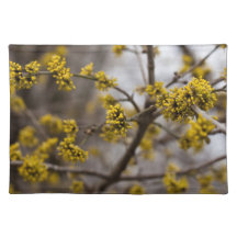 Early spring Placemats