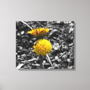 Early Spring Pollination Canvas Print