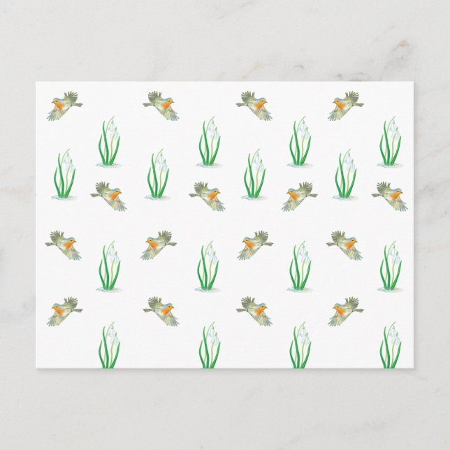 Early Spring Robin Birds & Snowdrops Pattern Postcard (Front)