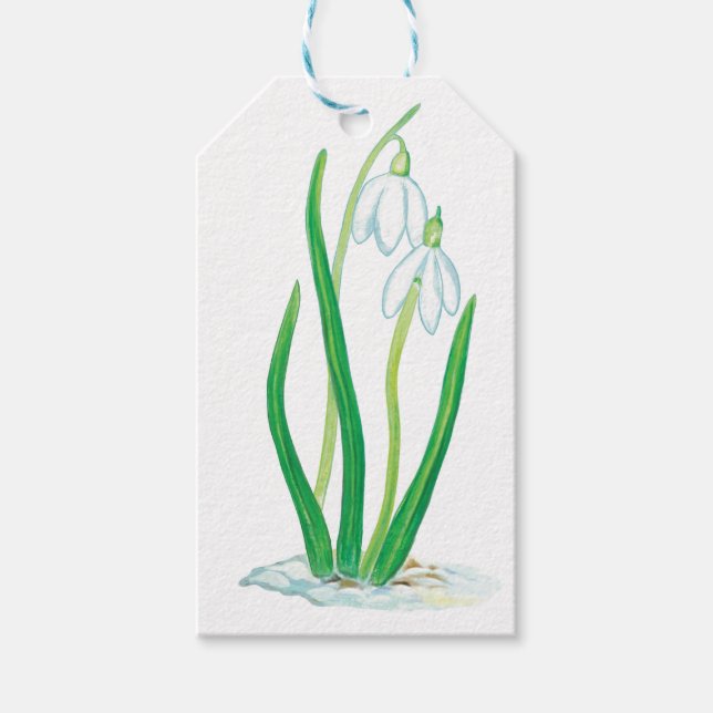 Early Spring Snowdrops  Gift Tags (Front)