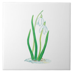 Early Spring Snowdrops Tile