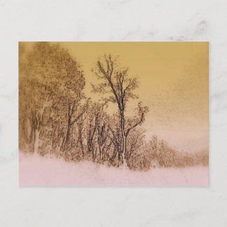 Early Winter Skyline Postcard