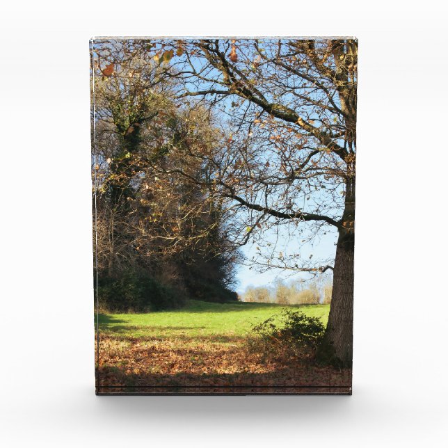 Early Winters Day Photo Block (Front)