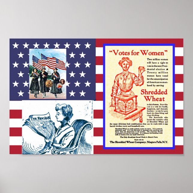 Early Women's Suffrage Movement America 1901-1908 Poster (Front)