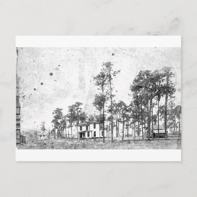 Early years, Mount Dora, FL Postcard (Front)