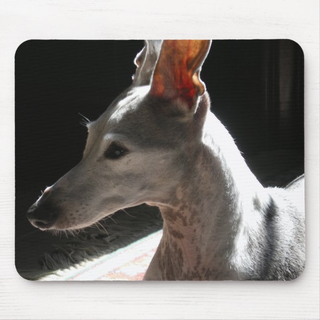 Ears Up!, photo Mouse Mat (Front)