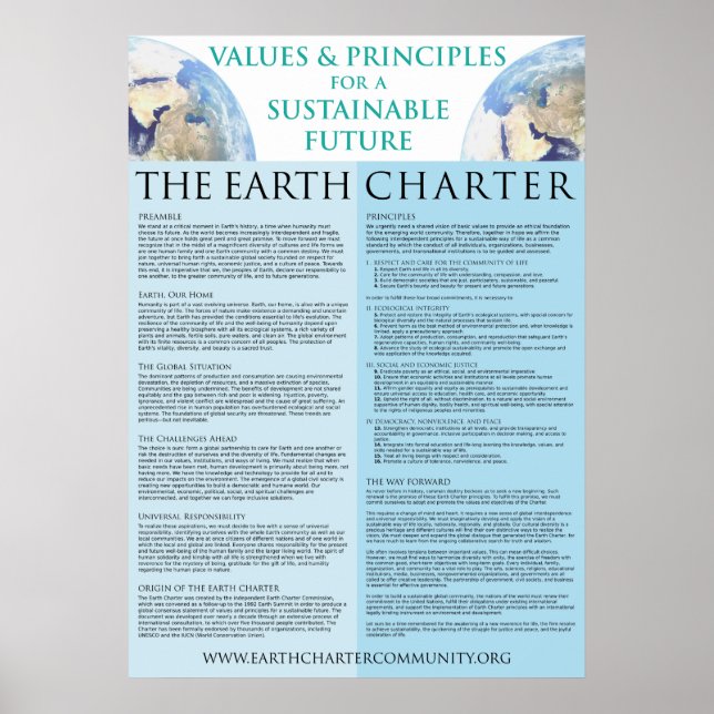 Earth Charter Poster - 22x31 Matte Finish (Front)