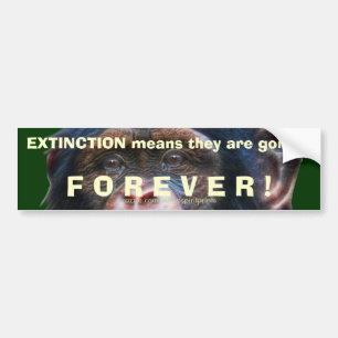 EARTH DAY CHIMPANZEE Extinction Bumper Sticker II