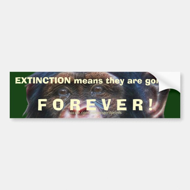 EARTH DAY CHIMPANZEE Extinction Bumper Sticker II (Front)