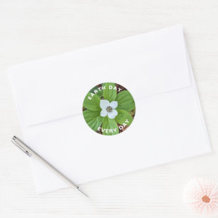 Earth Day Every Day Bunchberry Flower Classic Round Sticker