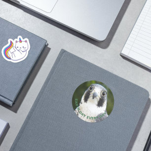 Earth Day Every Day Peregrine Falcon Photo Classic Round Sticker
