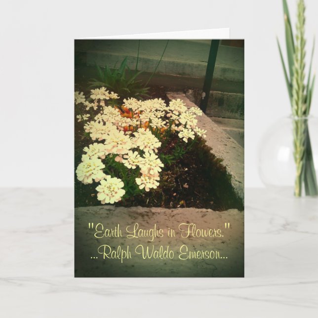 Earth Laughs in Flowers Thank You Card (Front)