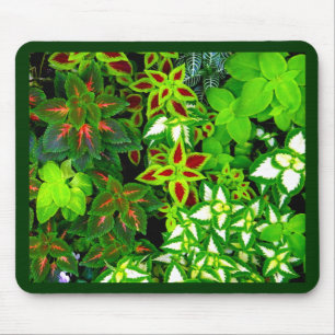 Earth Lover_ Mouse Mat