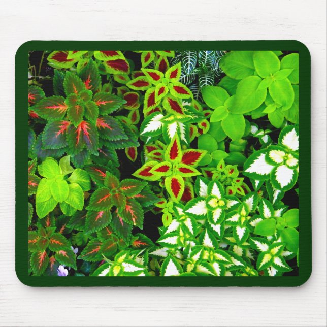 Earth Lover_ Mouse Mat (Front)