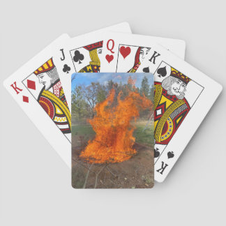 Earth Pit Biochar Playing Cards
