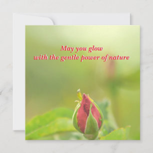 Earth’s Glow and Healing Japanese Flowers/EarthDay Holiday Card