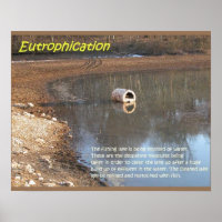 Earth science, Environment, Eutrophication
