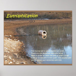 Earth science, Environment, Eutrophication Poster