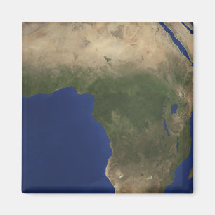 Earth showing landcover over Africa Magnet