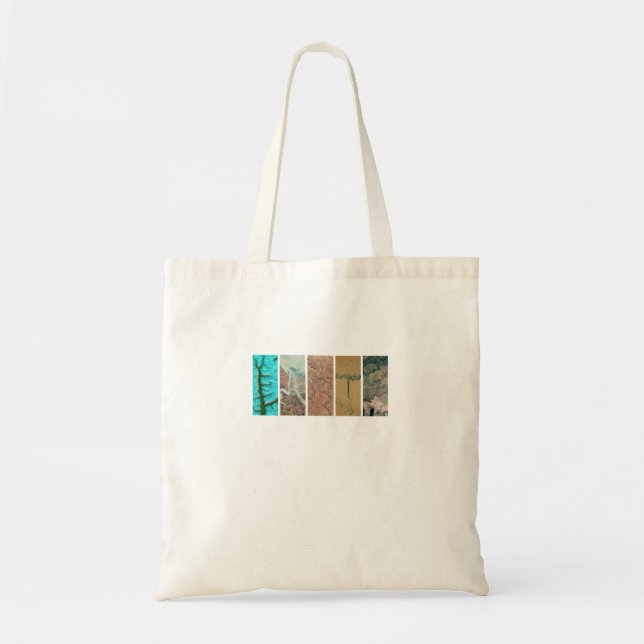 Earth  tote bag (Front)
