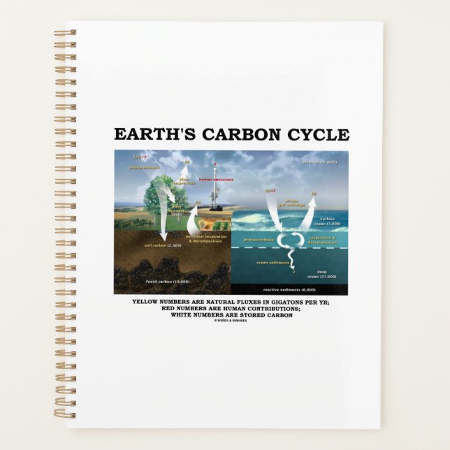 Earth's Carbon Cycle Earth Science Environmental Planner (Front)