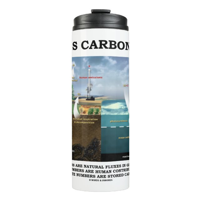Earth's Carbon Cycle Earth Science Environmental Thermal Tumbler (Front)