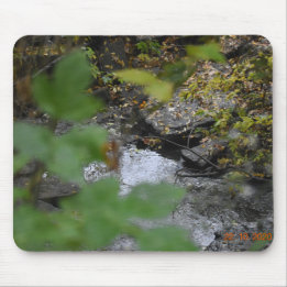 Earth's Enchantment Mouse Mat