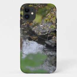 Earth's Enchantments iPhone 11 Case