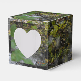 Earth's Enchantments Favour Box