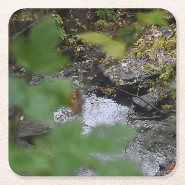 Earth's Enchantments Square Paper Coaster (Front)