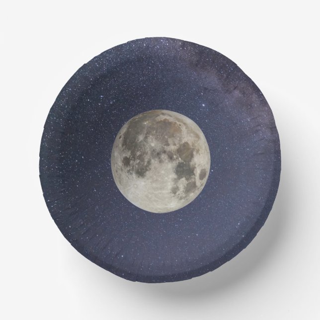 Earth's moon paper plate (Front)